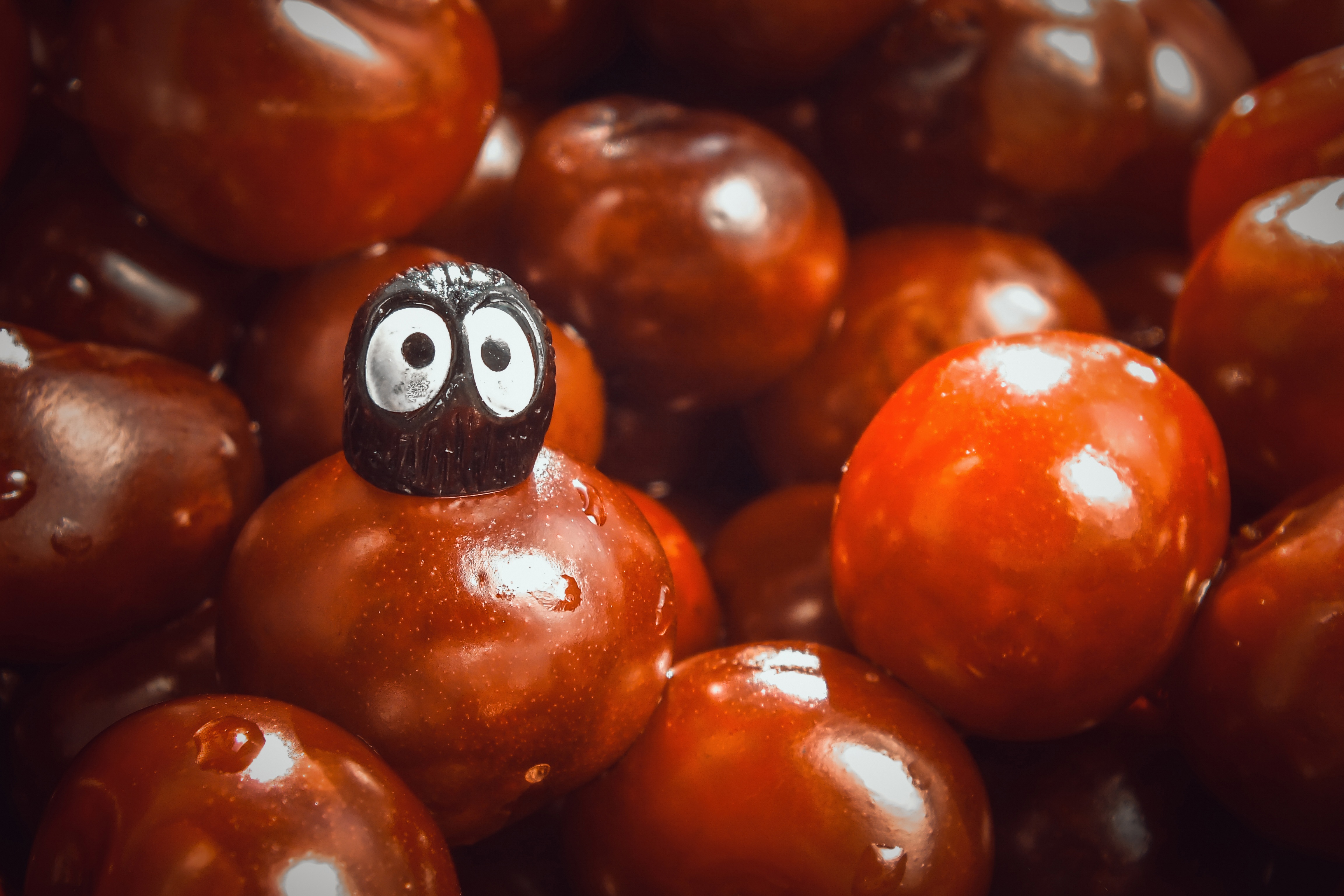 Cool And Funny Wallpapers - HD Wallpaper 