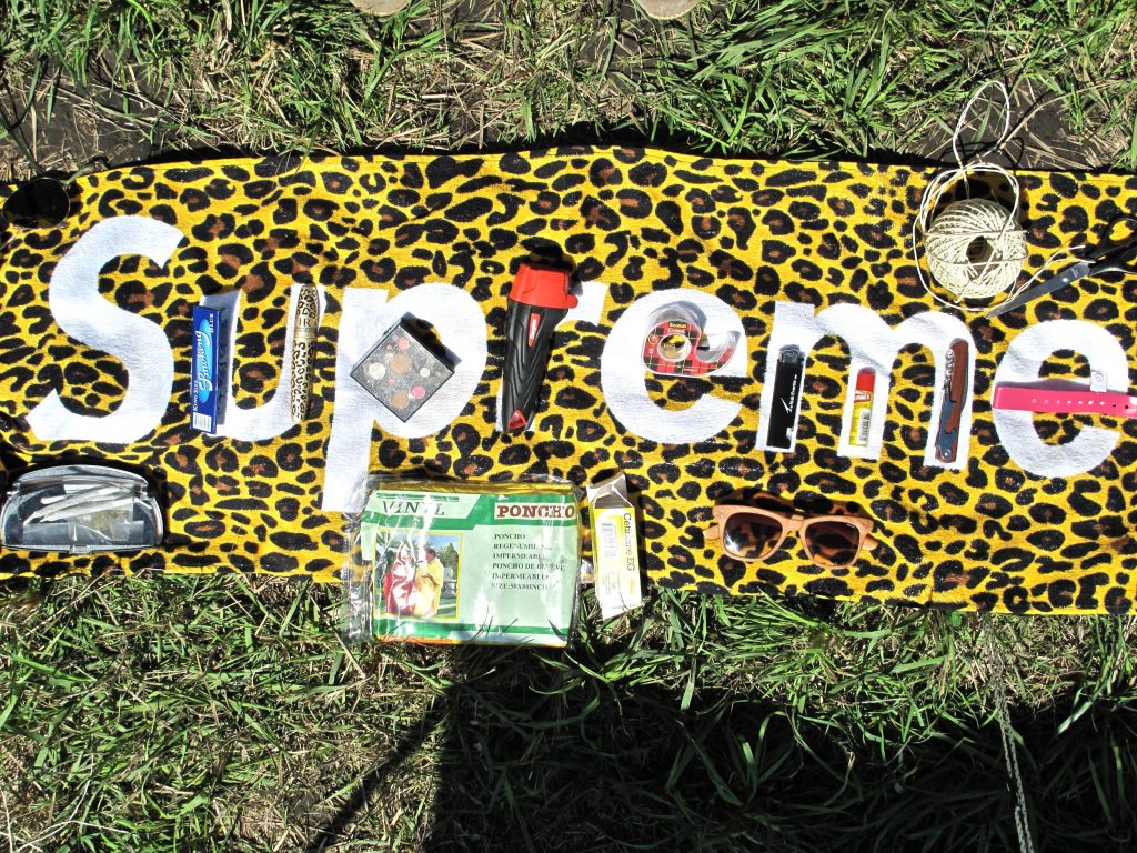 Grass - HD Wallpaper 