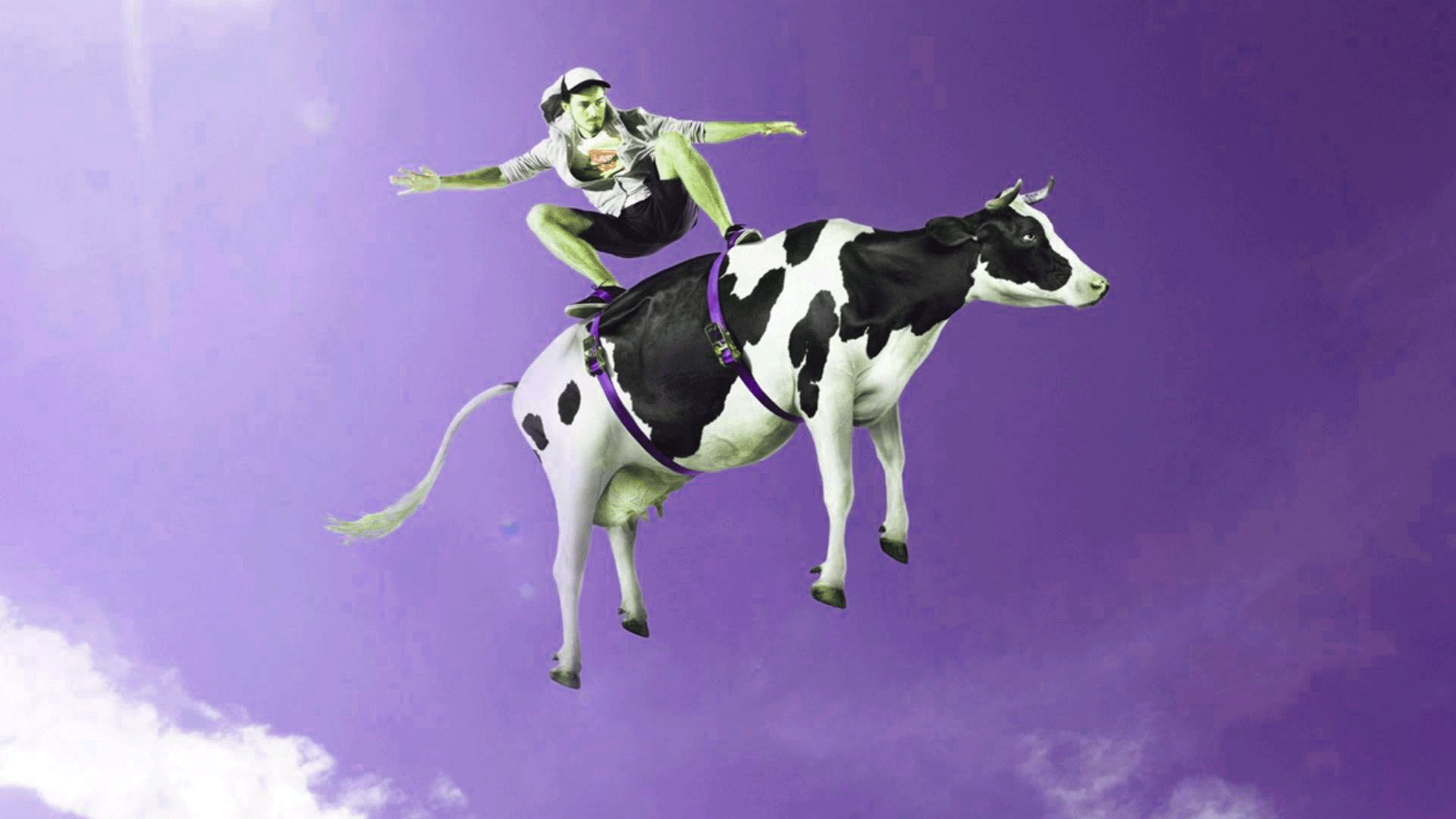 Funny Wallpaper Pictures Images Photo Hd Download 
 - Flying Cows In India - HD Wallpaper 