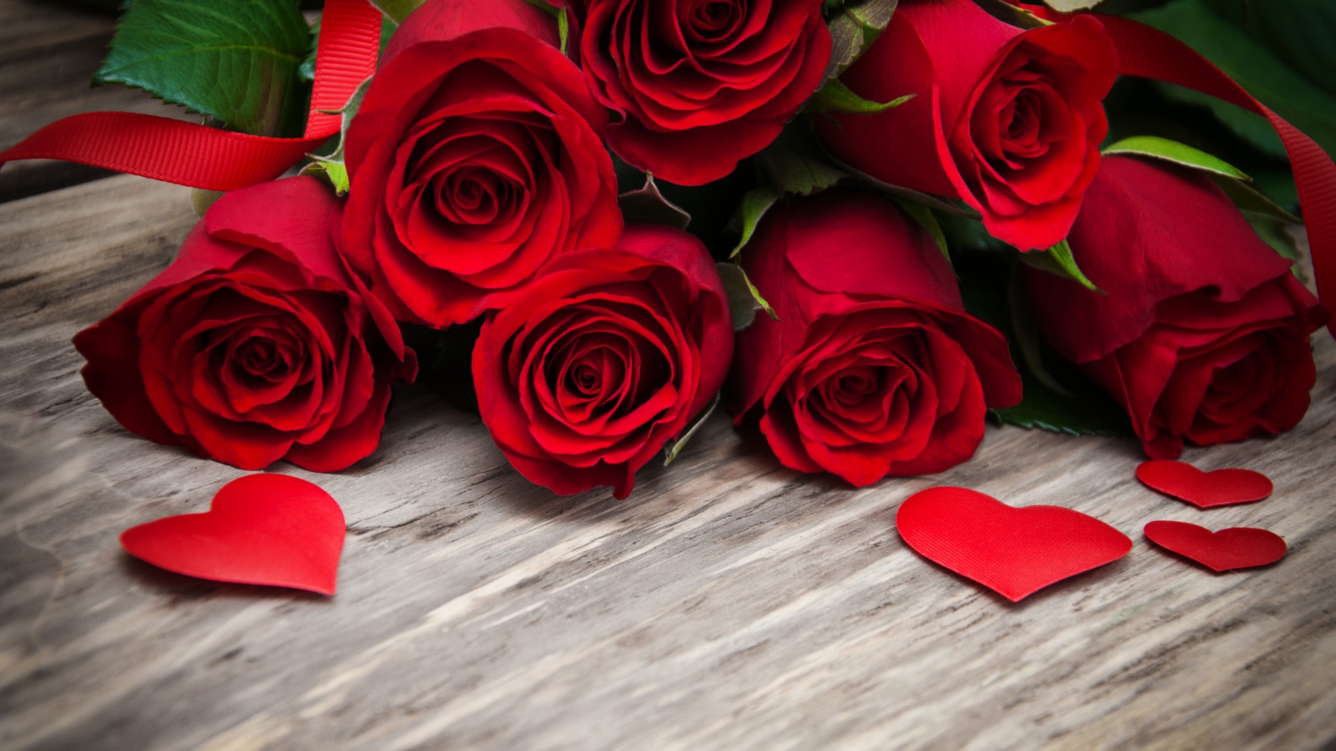 Cool Red Roses Red Roses In Hd 1920x1080 Wallpaper teahub.io