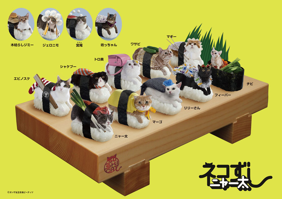 A4 Ty Nekozushipoipoi - Sushi Cat - HD Wallpaper 