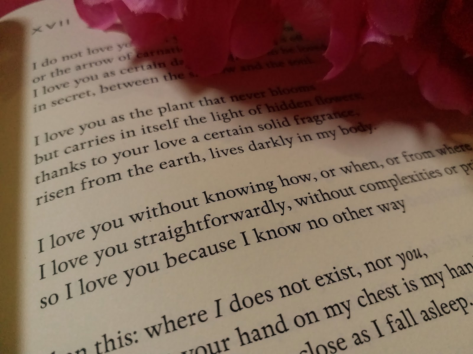 Origami - HD Wallpaper 