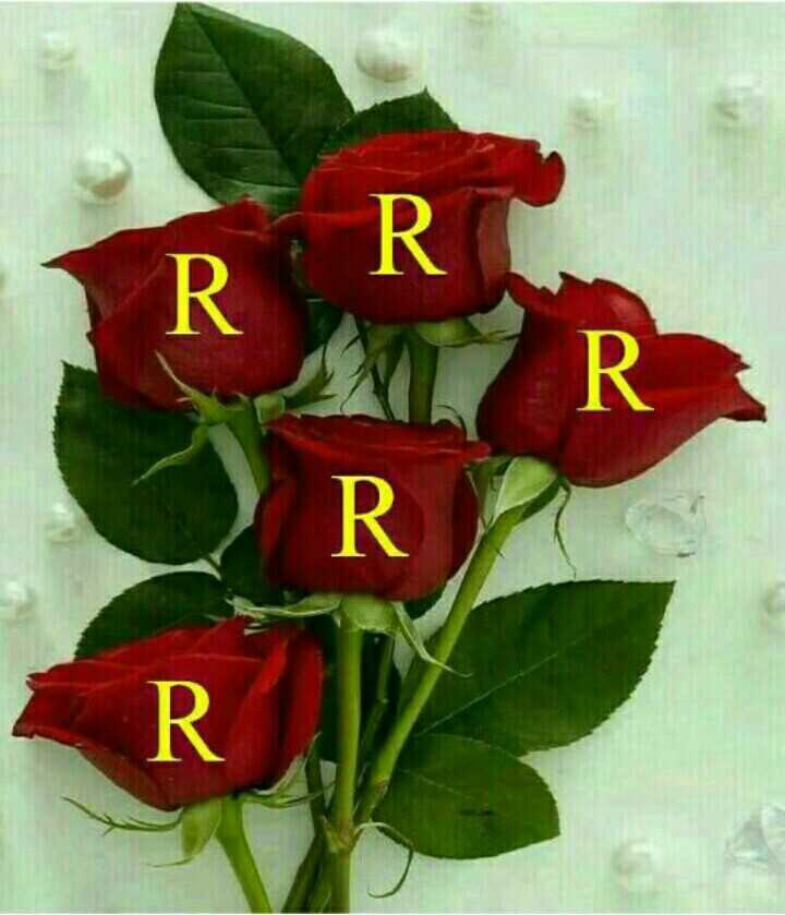 Hd Wallpaper 📱 - Happy Rose Day Prince - HD Wallpaper 