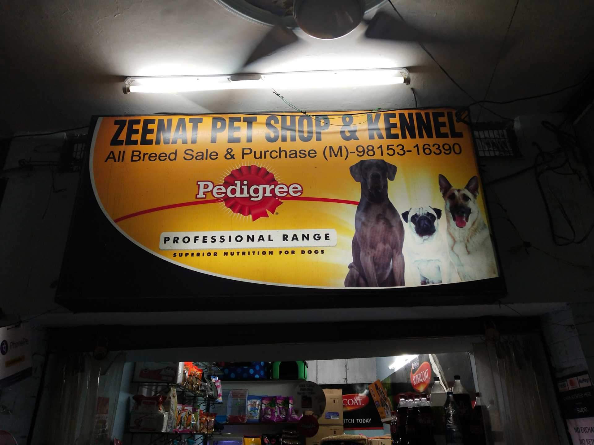 Poster - HD Wallpaper 