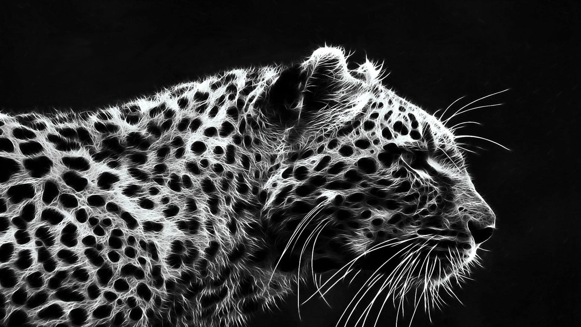Jaguar Animal Wallpaper Download Data Src /w/full/2/4/3/193885 - Black Leopard Wallpaper Hd - 1920x1080 Wallpaper Jaguar Animal Wallpaper Download Data Src /w/full/2/4/3/193885 - Black Leopard Wallpaper Hd - 1920x1080 Wallpaper