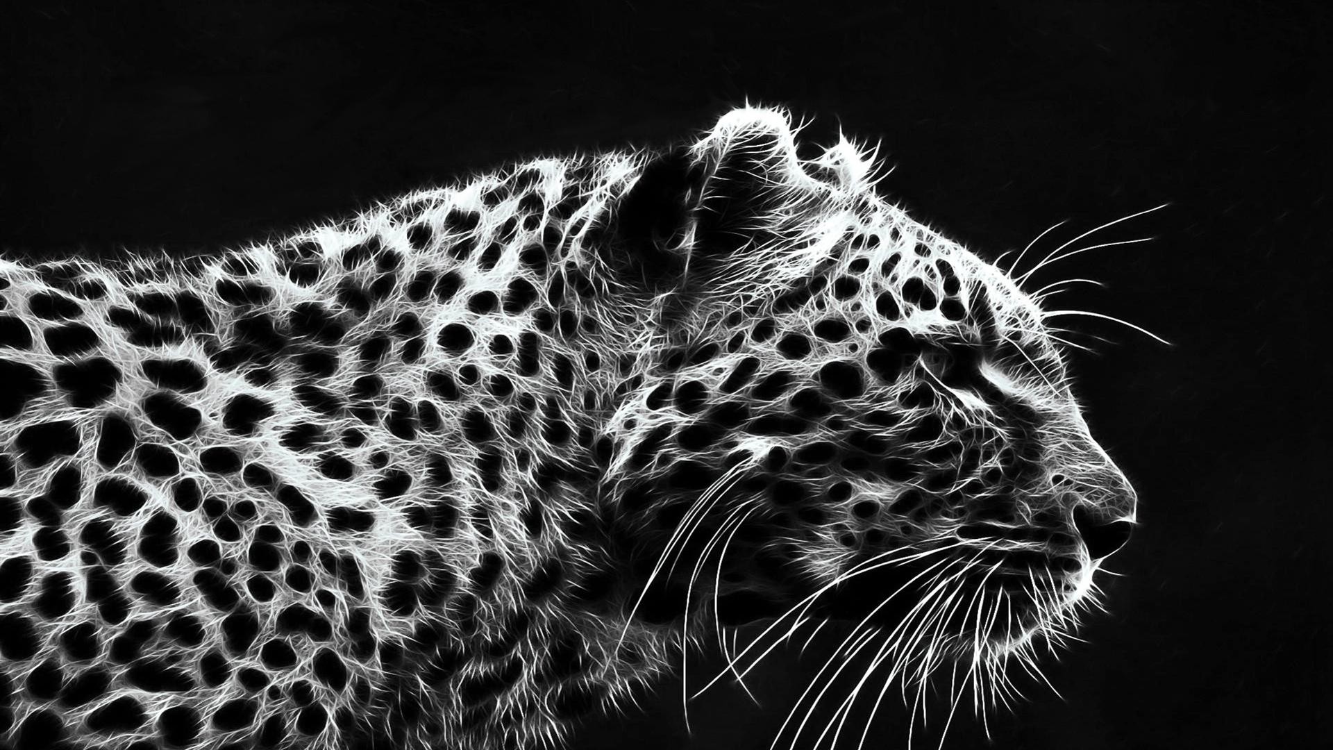 Jaguar Animal Wallpaper Download 
 Data Src /w/full/2/4/3/193885 - Black Leopard Wallpaper Hd - HD Wallpaper 