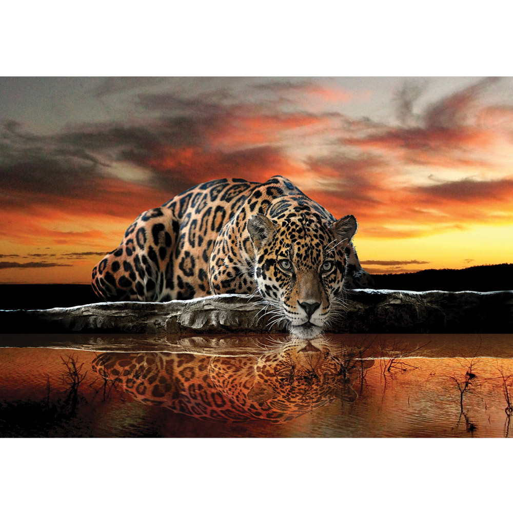 Jaguar Wild Animal Wallpapers 1080p - HD Wallpaper 