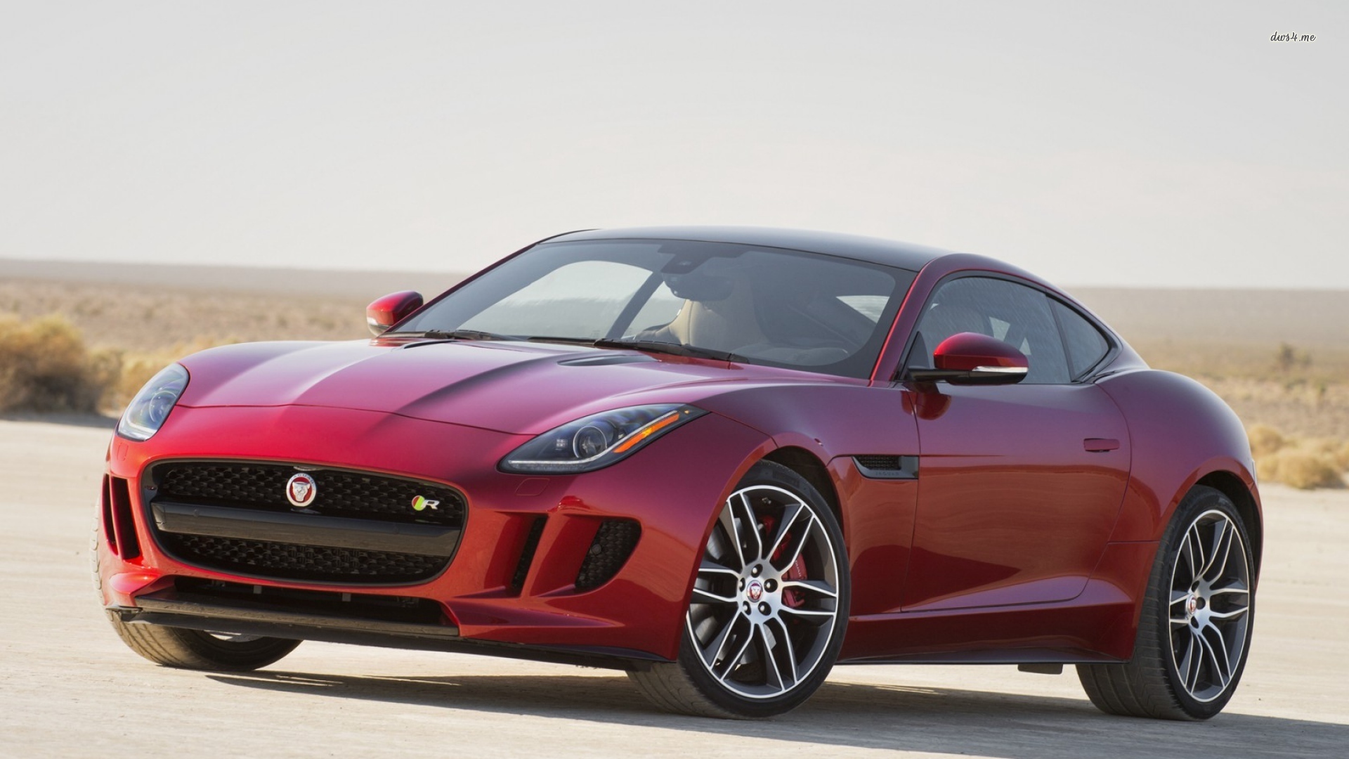 Jaguar - HD Wallpaper 