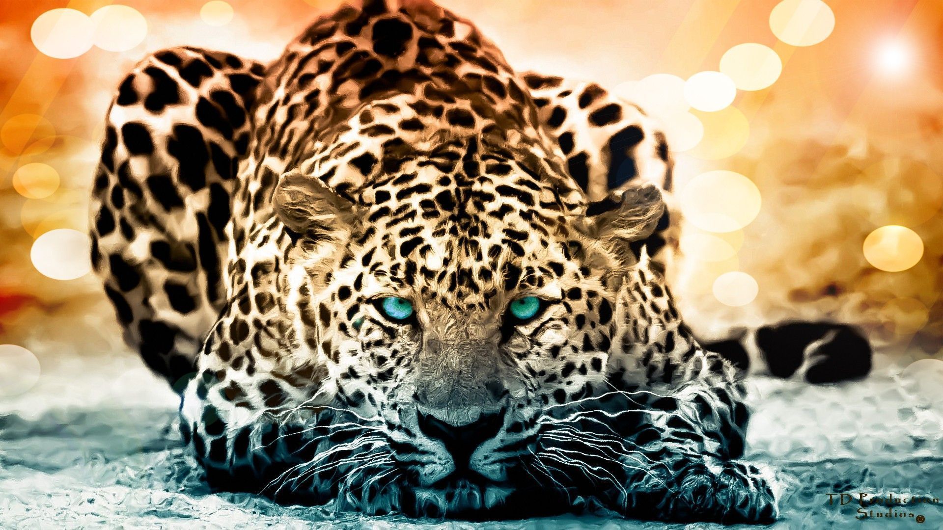 Jaguar Iphone Wallpapers, Jaguar Photo - Jaguar Wallpaper Hd 1080p - HD Wallpaper 