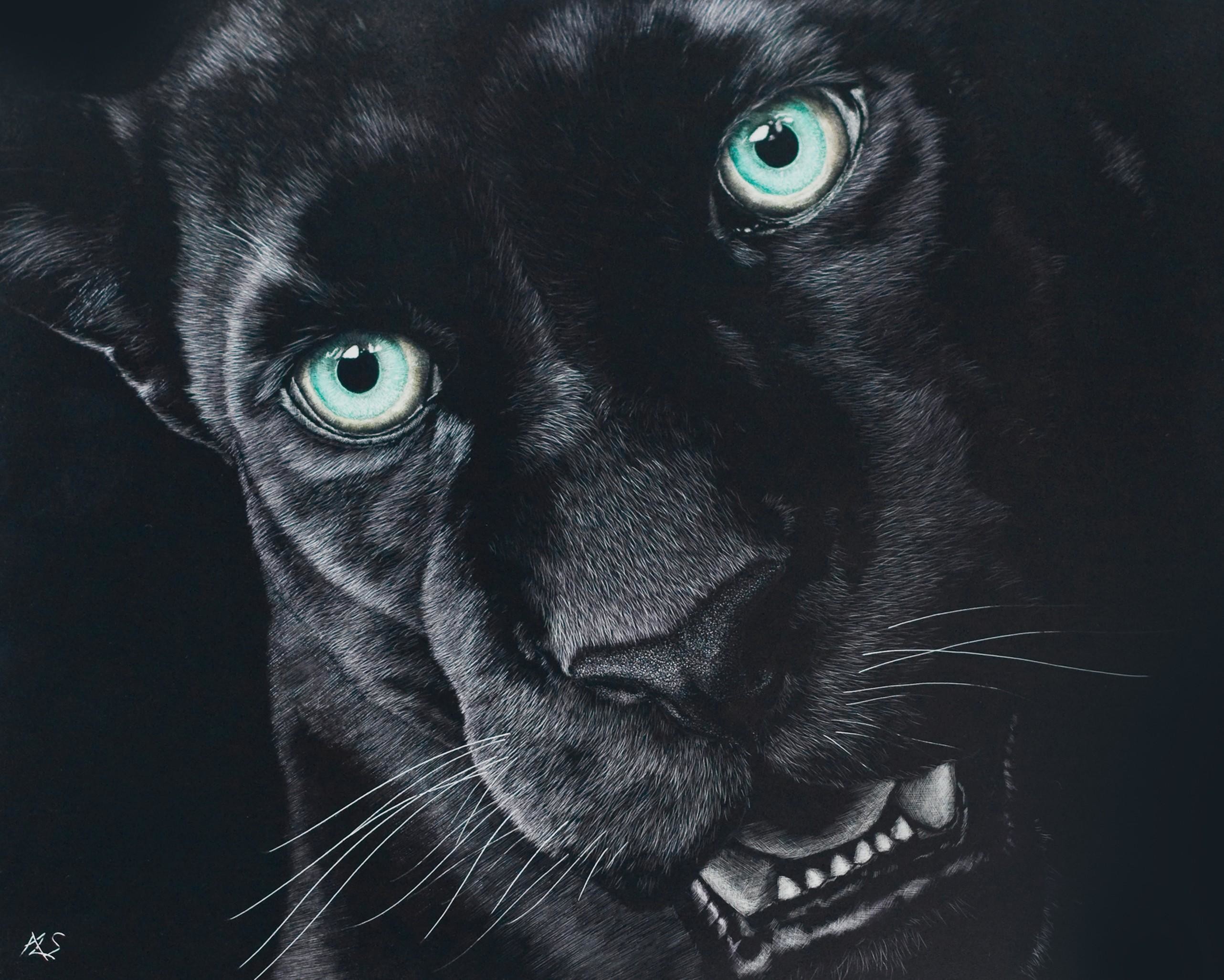 Black Jaguar Wallpapers Hd Download Data Src Cool - Black Jaguar Images  Download - 2564x2053 Wallpaper 