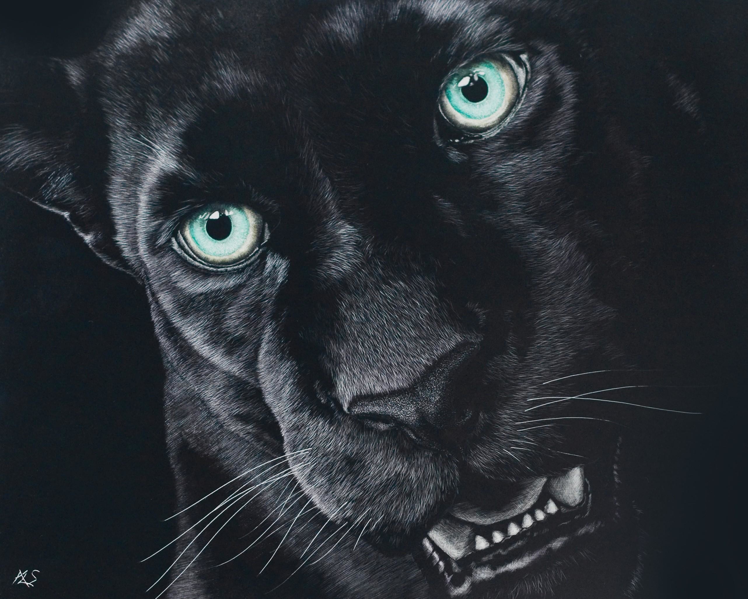 Black Jaguar Wallpapers Hd Download 
 Data Src Cool - Black Jaguar Images Download - HD Wallpaper 