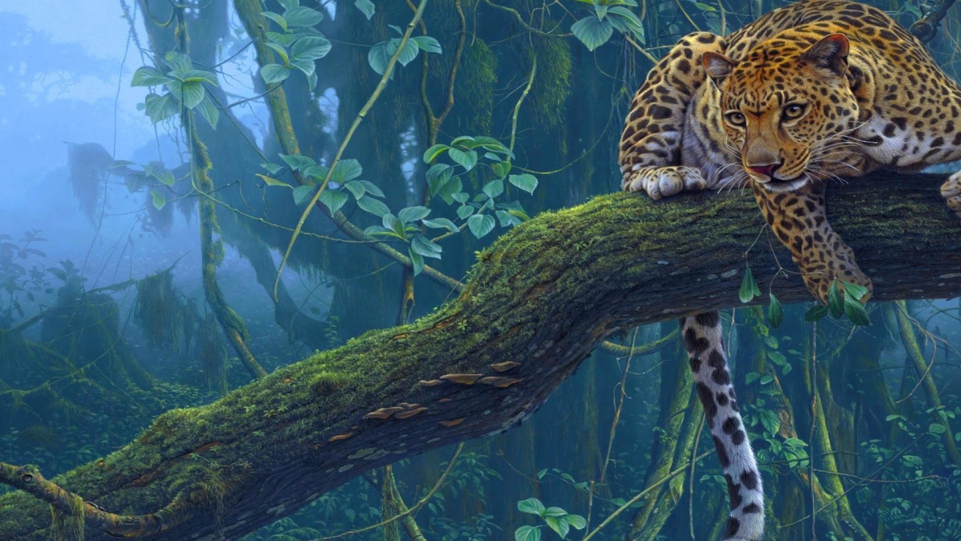 Leopards In The Jungle - HD Wallpaper 