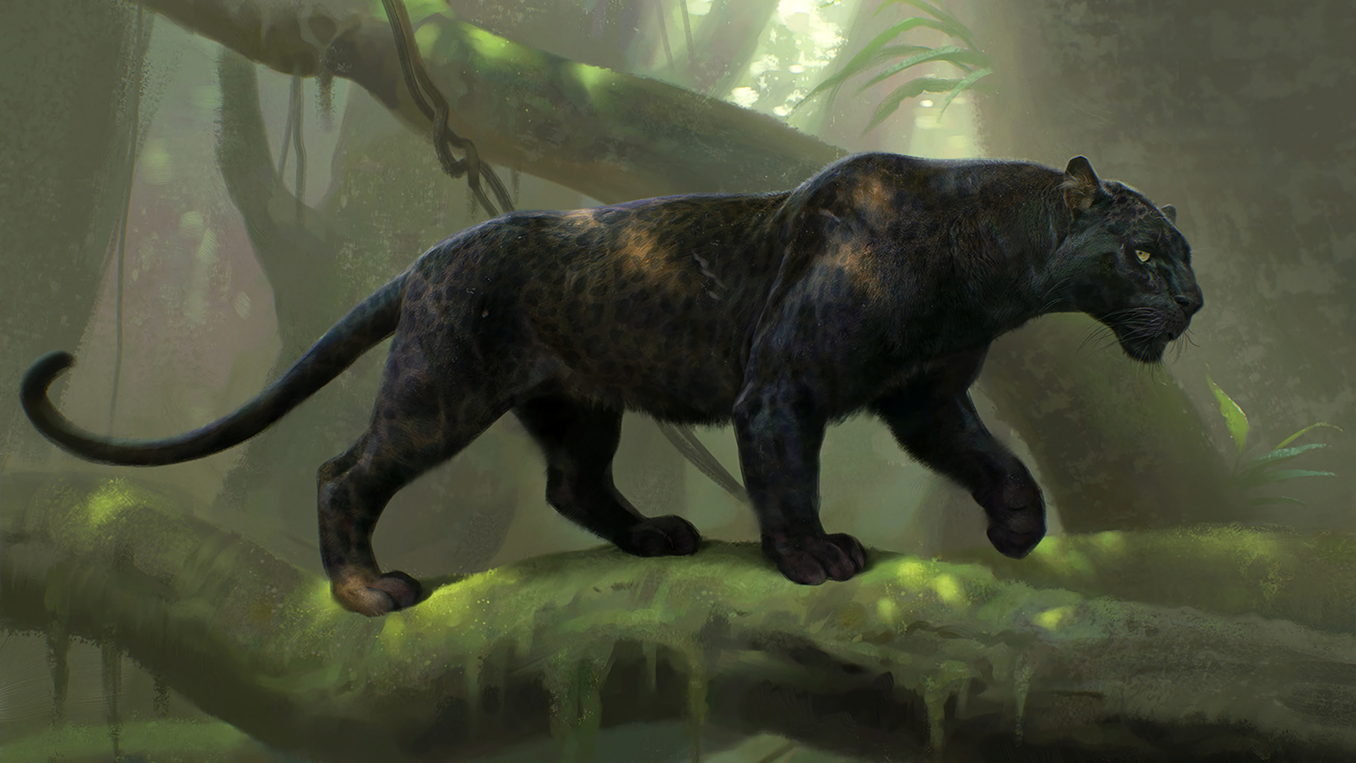 Black Panther Animal Hd Wallpaper - Black Panther Animal - 1920x1080 Wallpaper Black Panther Animal Hd Wallpaper - Black Panther Animal - 1920x1080 Wallpaper