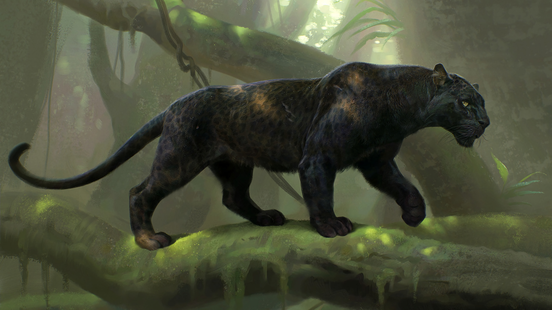 Black Panther Animal Hd Wallpaper - Black Panther Animal - 1920x1080