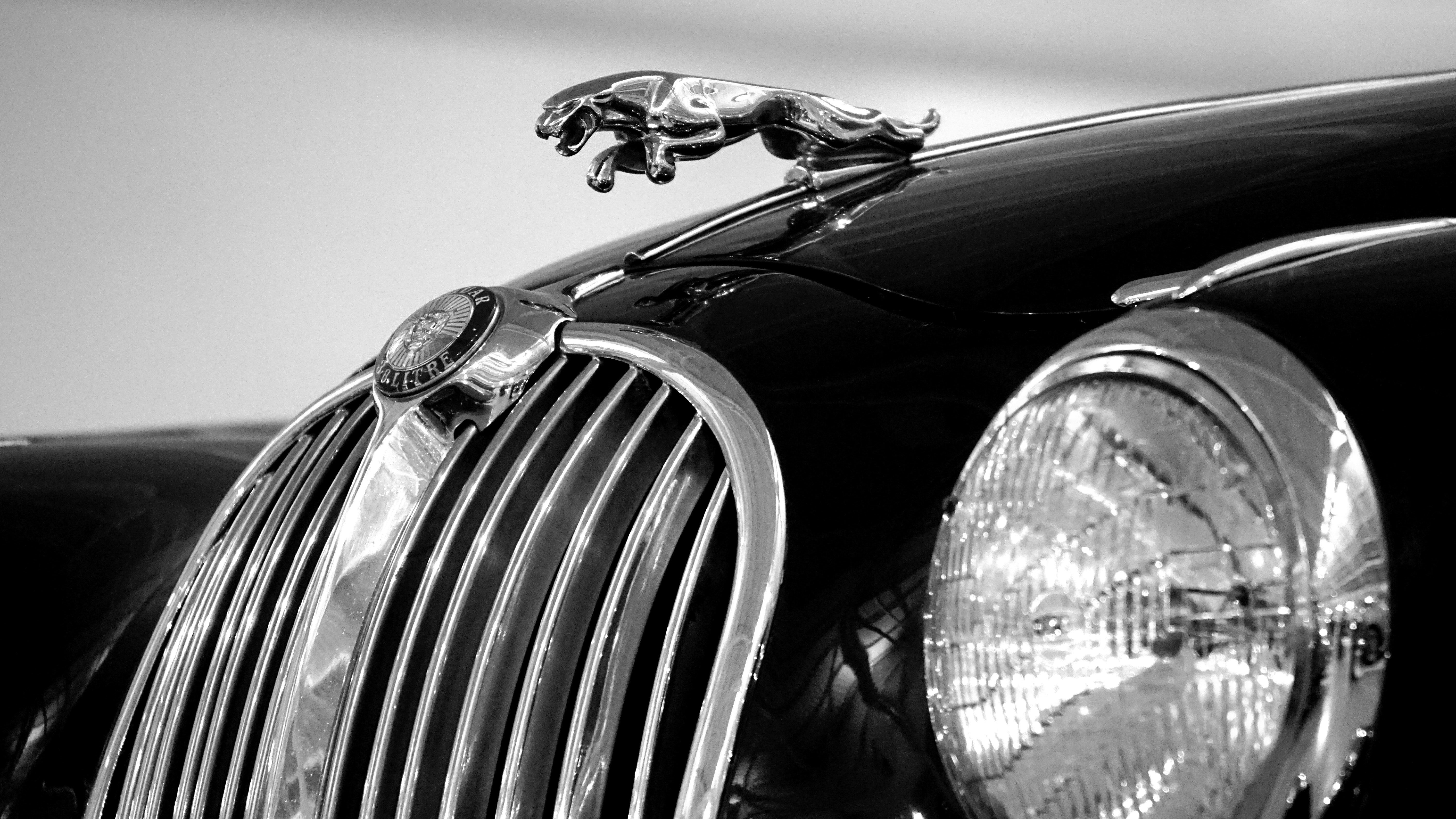 Emblem Black Jaguar Car Logo - HD Wallpaper 