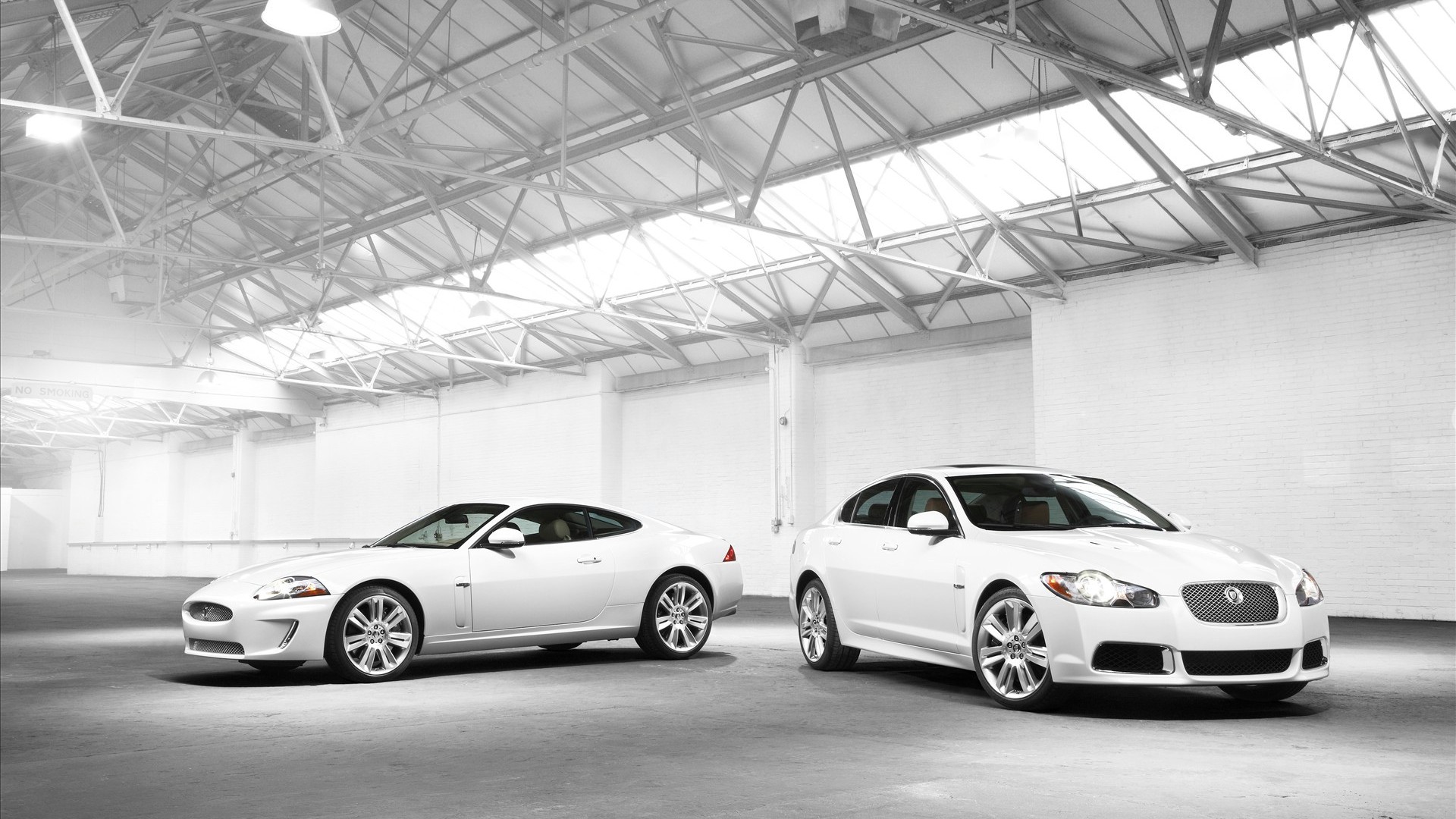 Jaguar - HD Wallpaper 