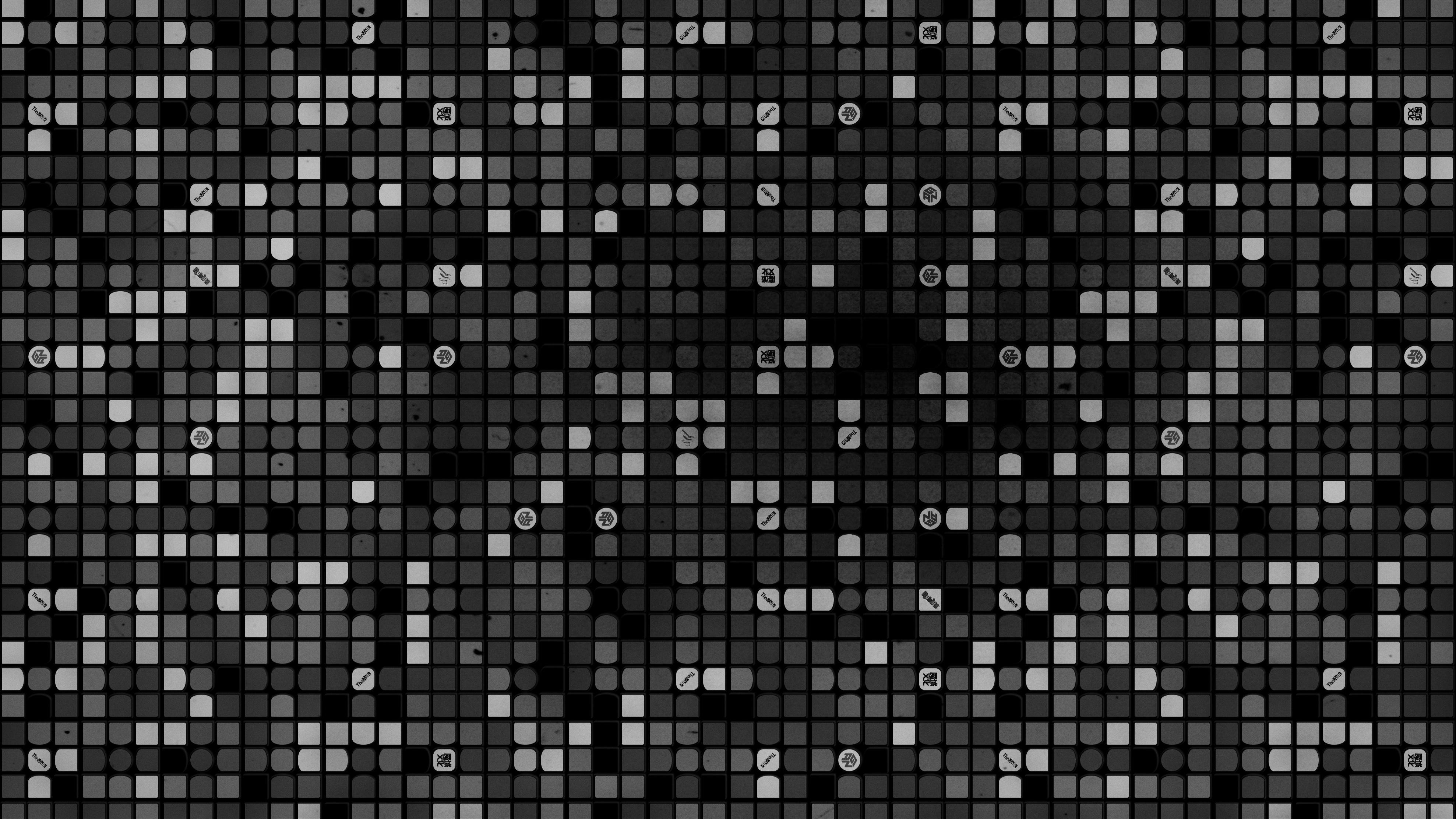 Companion Dog - HD Wallpaper 