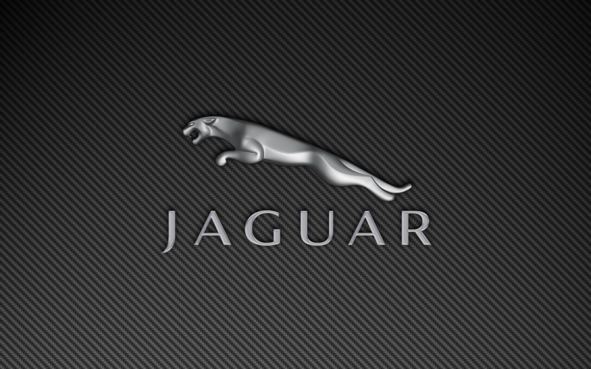 Free Jaguar, By Rivka Enterline, Px - HD Wallpaper 