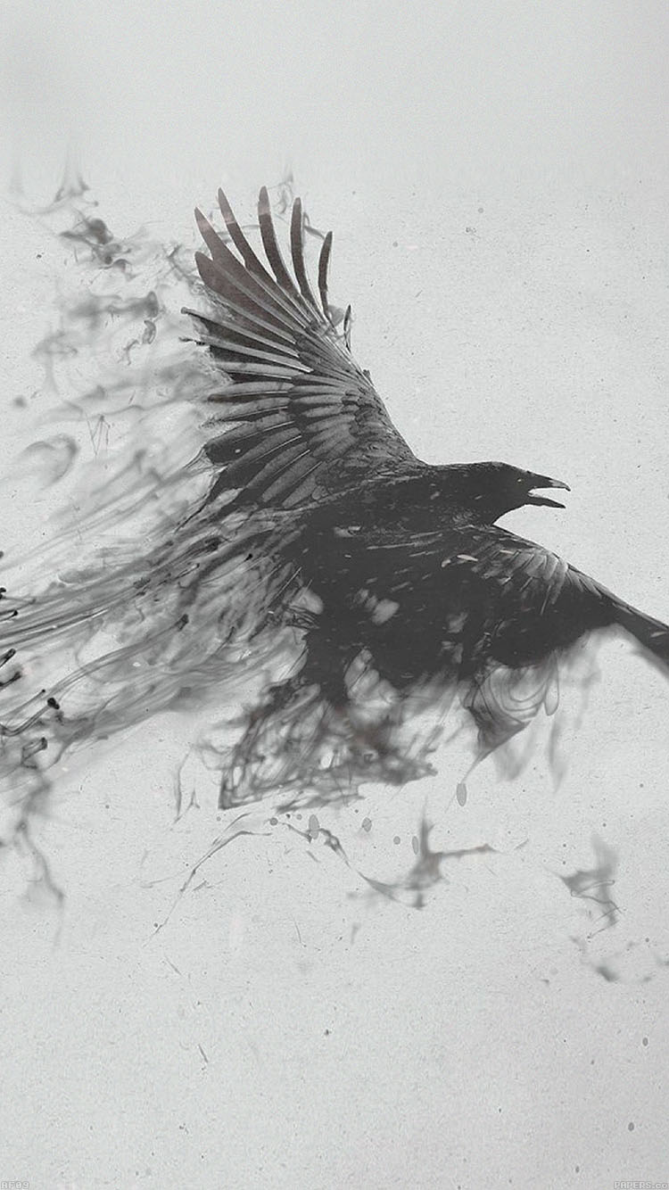 Co Af Black Bird Smoke Art Illust Iphone Wallpaper - Seven Dark Scientific - HD Wallpaper 