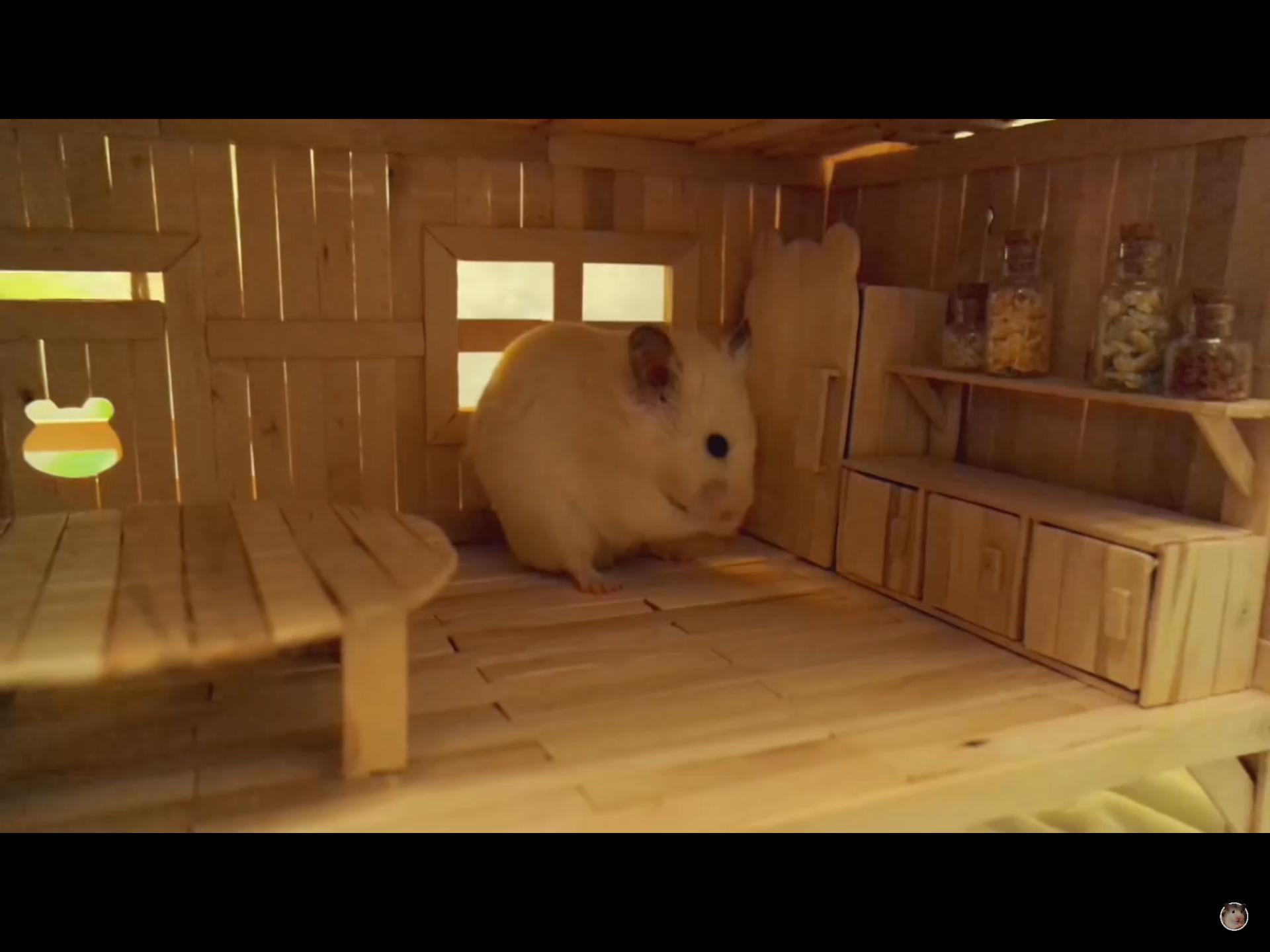 Domestic Rabbit - HD Wallpaper 