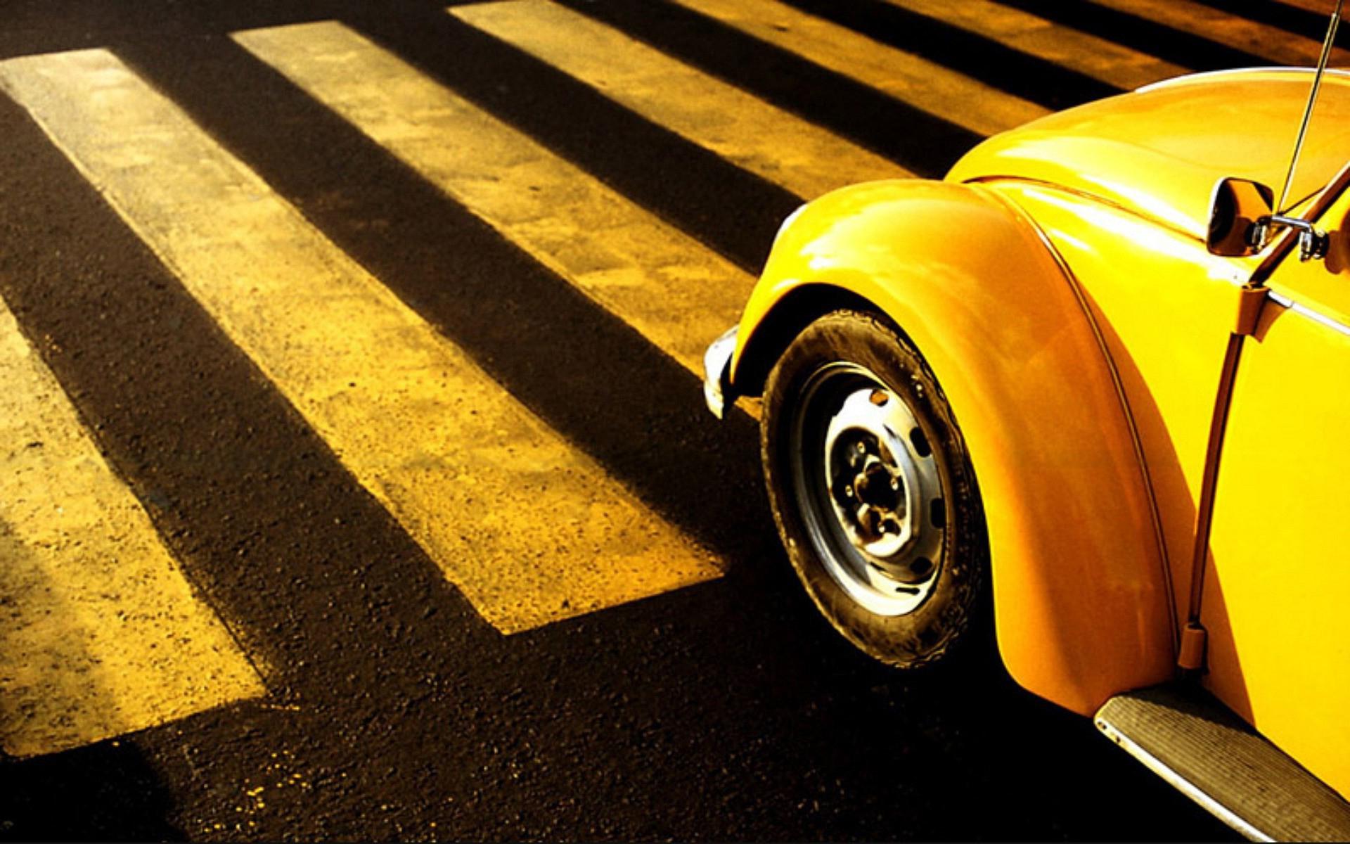 Volkswagen Beetle Wallpapers Hd Download - Beetle Hot Vw Hd - HD Wallpaper 