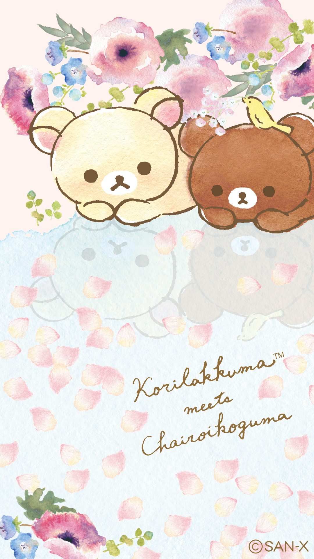 Korilakkuma Meets Chairoikoguma - HD Wallpaper 