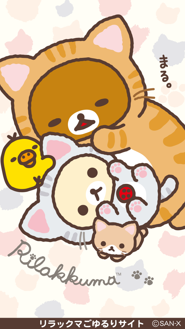 Cute Rilakkuma Cat - HD Wallpaper 