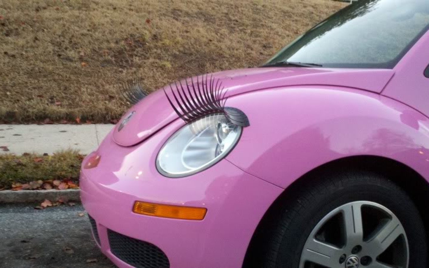 Volkswagen Beetle Eyelashes - HD Wallpaper 