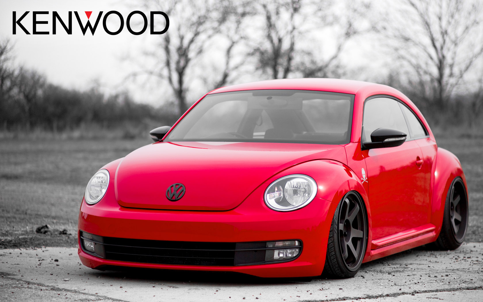 Beetle On Rota Wheels - HD Wallpaper 