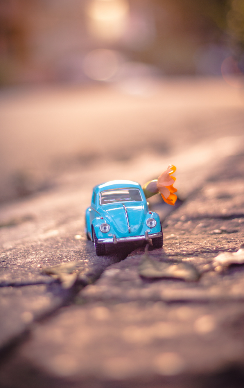 Volkswagen Beetle - HD Wallpaper 