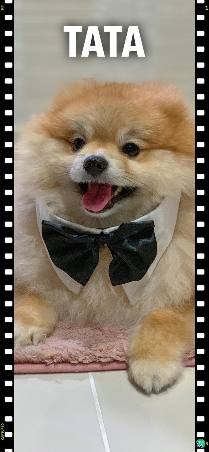 Modelo De Blazer Com Vestido Tubinho Moda Evangélica - HD Wallpaper 