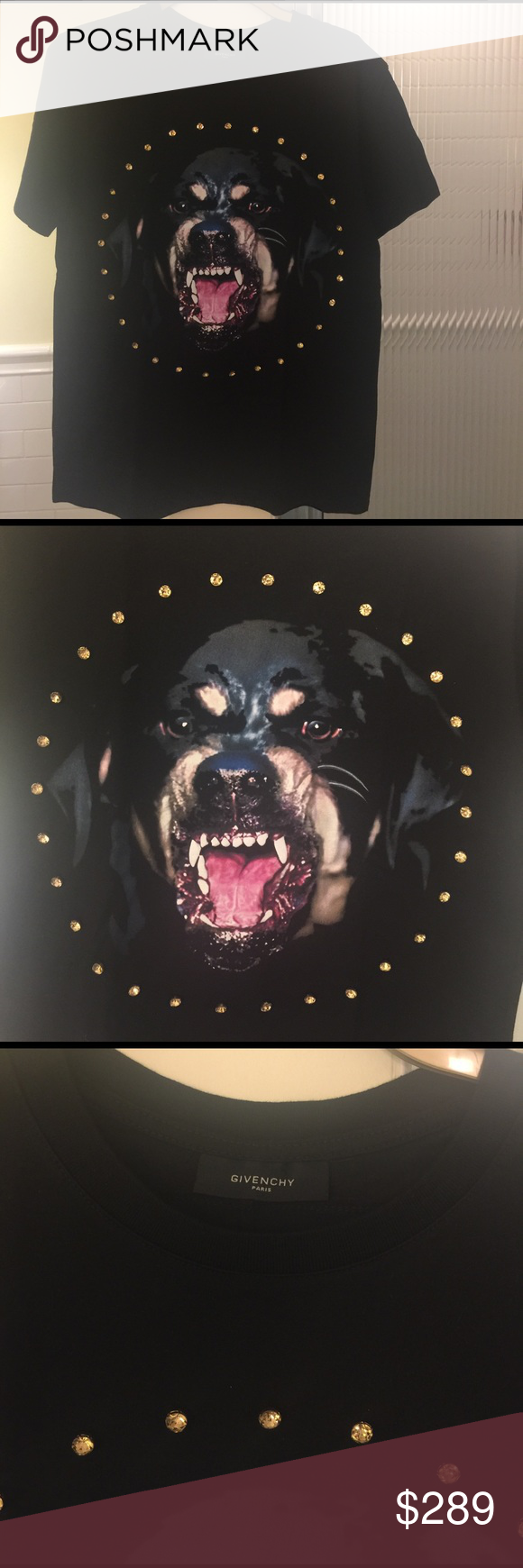 Scary Rottweiler - HD Wallpaper 