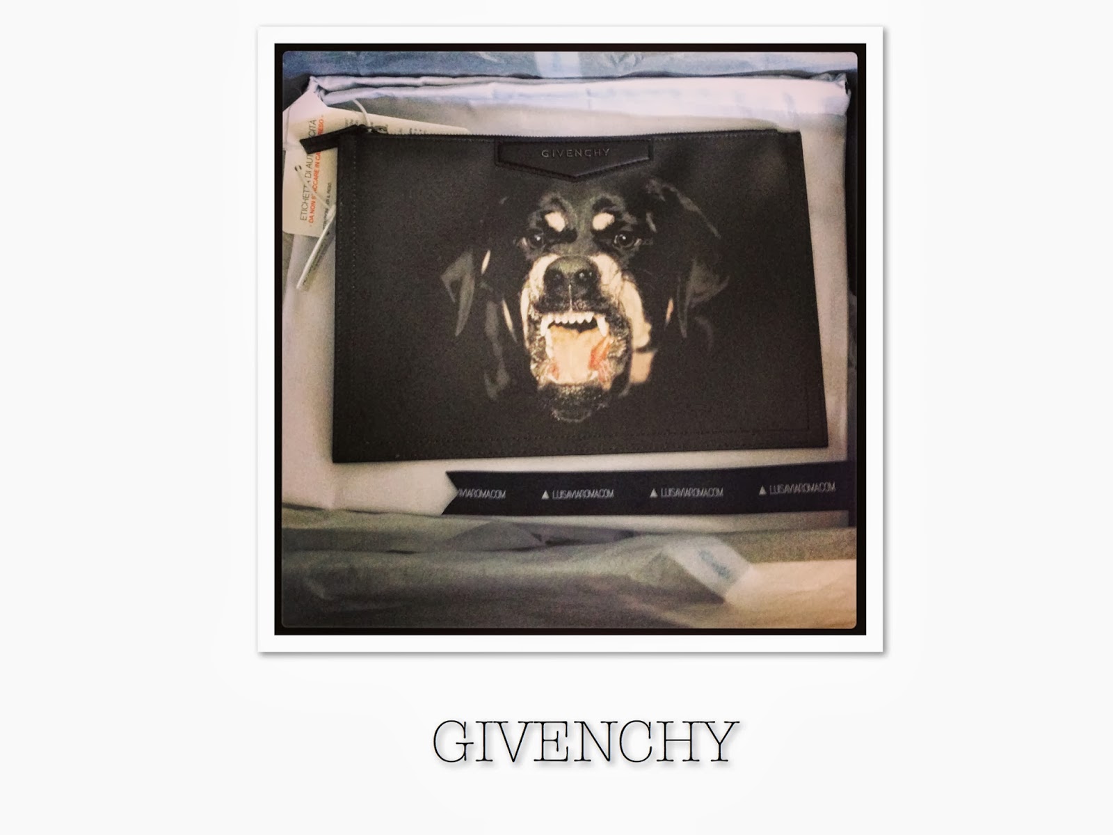 Rottweiler - HD Wallpaper 