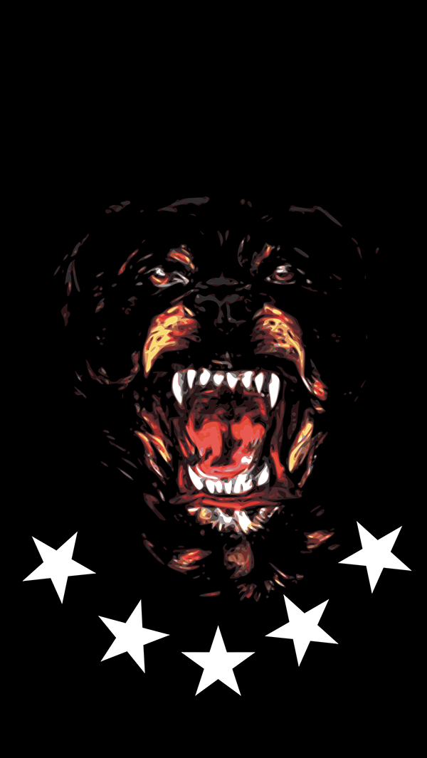 Givenchy Dog Wallpaper 600x1065 Wallpaper Teahub Io
