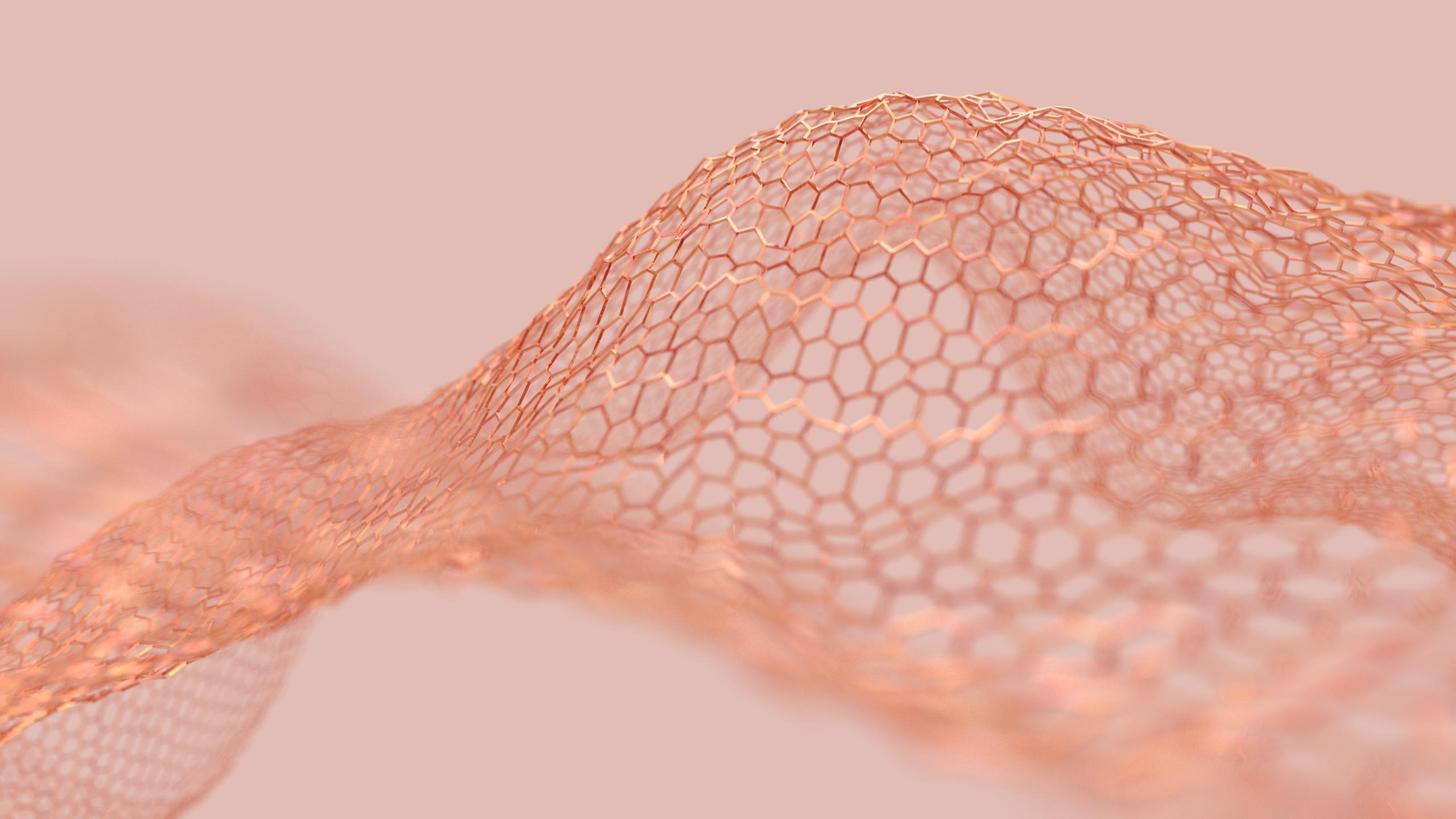 Close-up - HD Wallpaper 