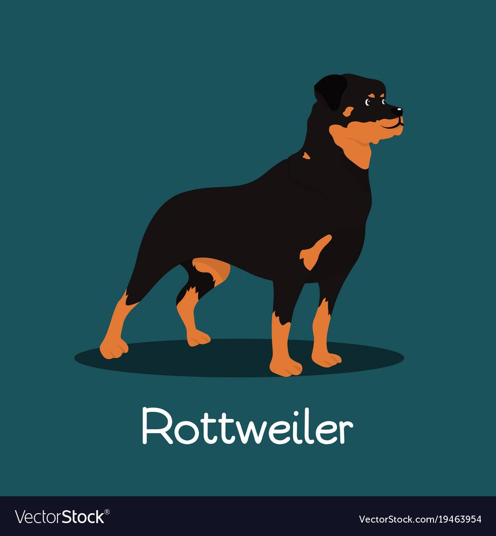 Rottweiler Dog Cartoon - HD Wallpaper 