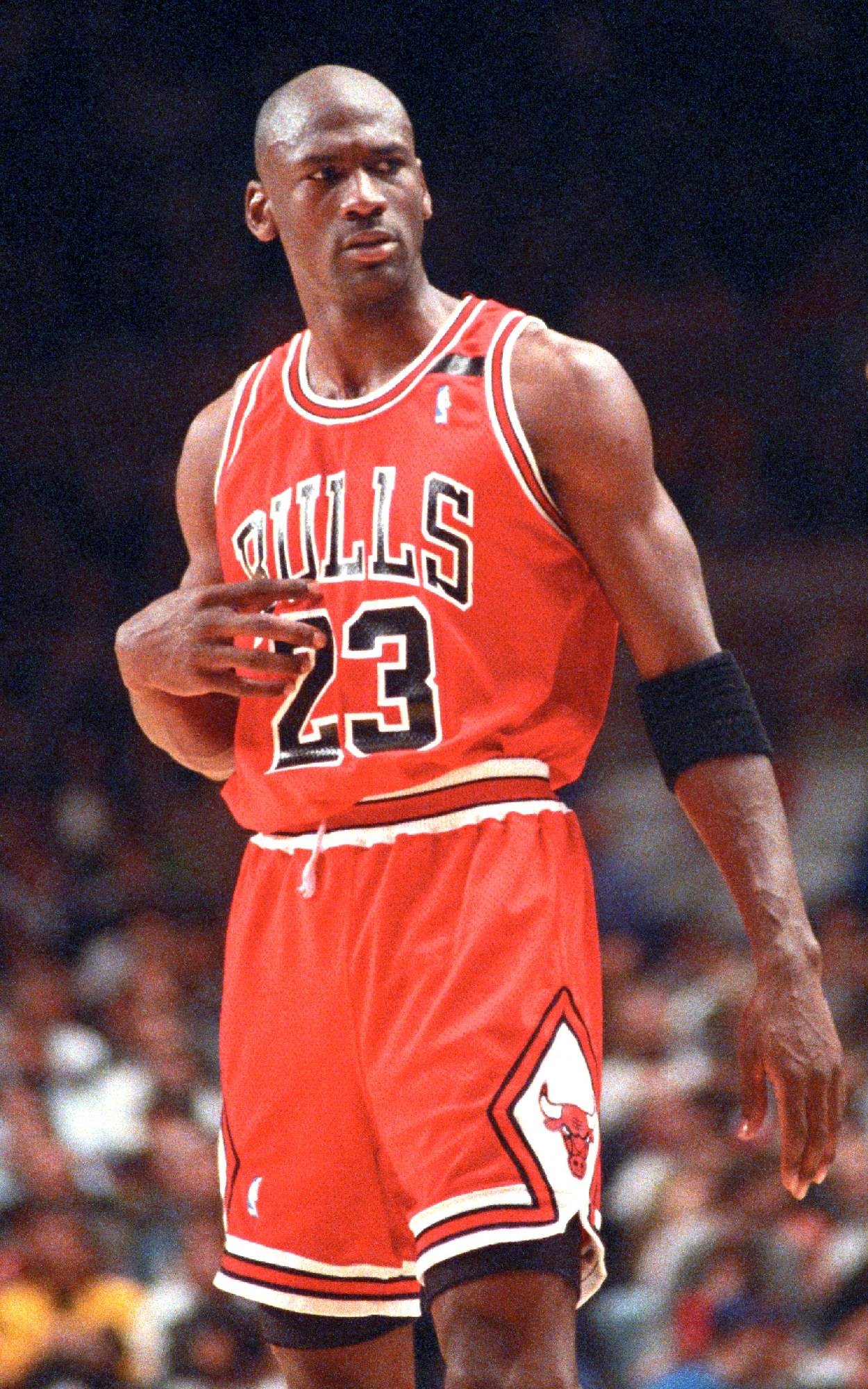 338037 Michael Jordan Michael Jordan Iphone Wallpaper - Michael Jordan Bulls Rookie - HD Wallpaper 