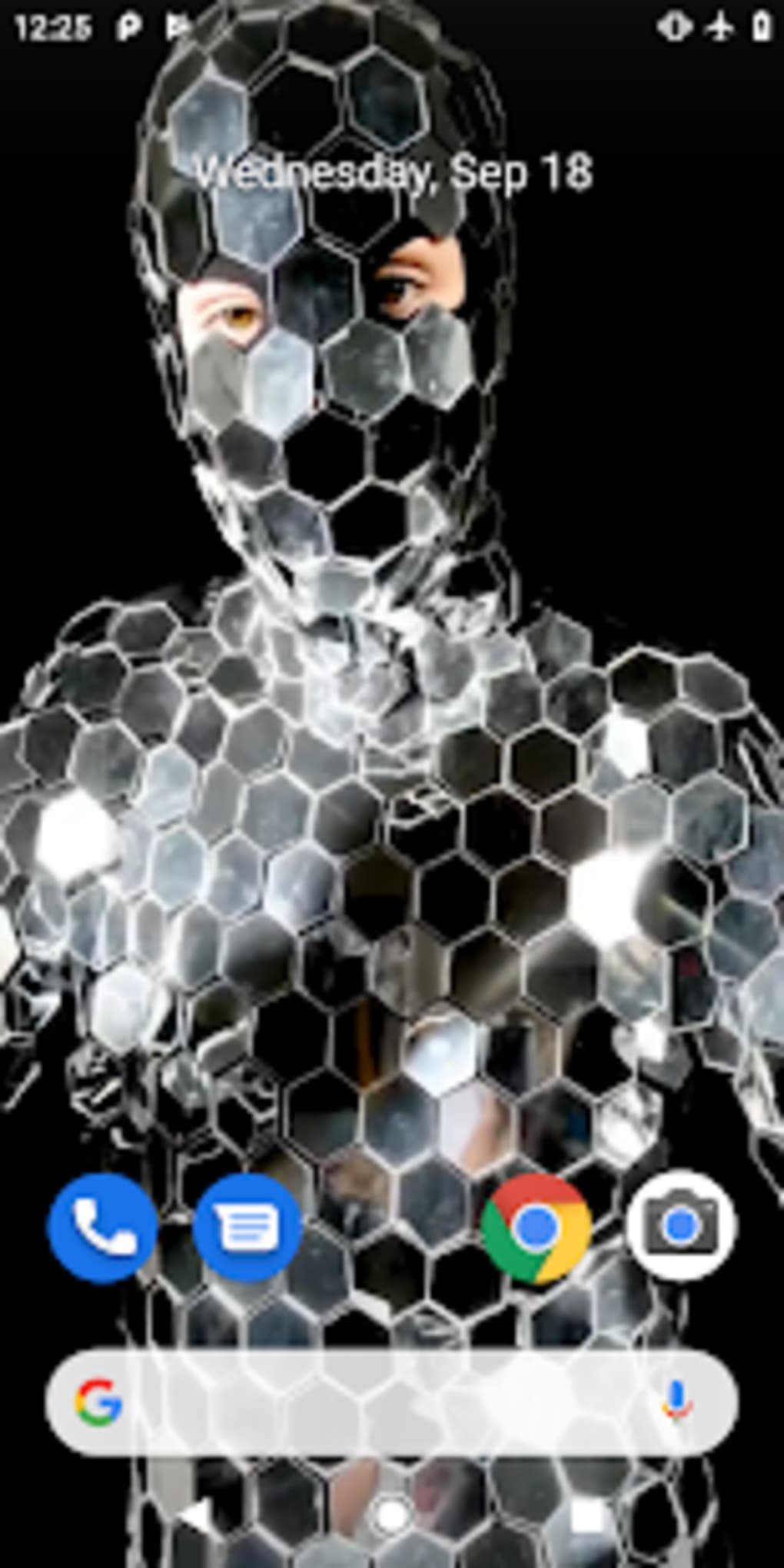 Skull - HD Wallpaper 