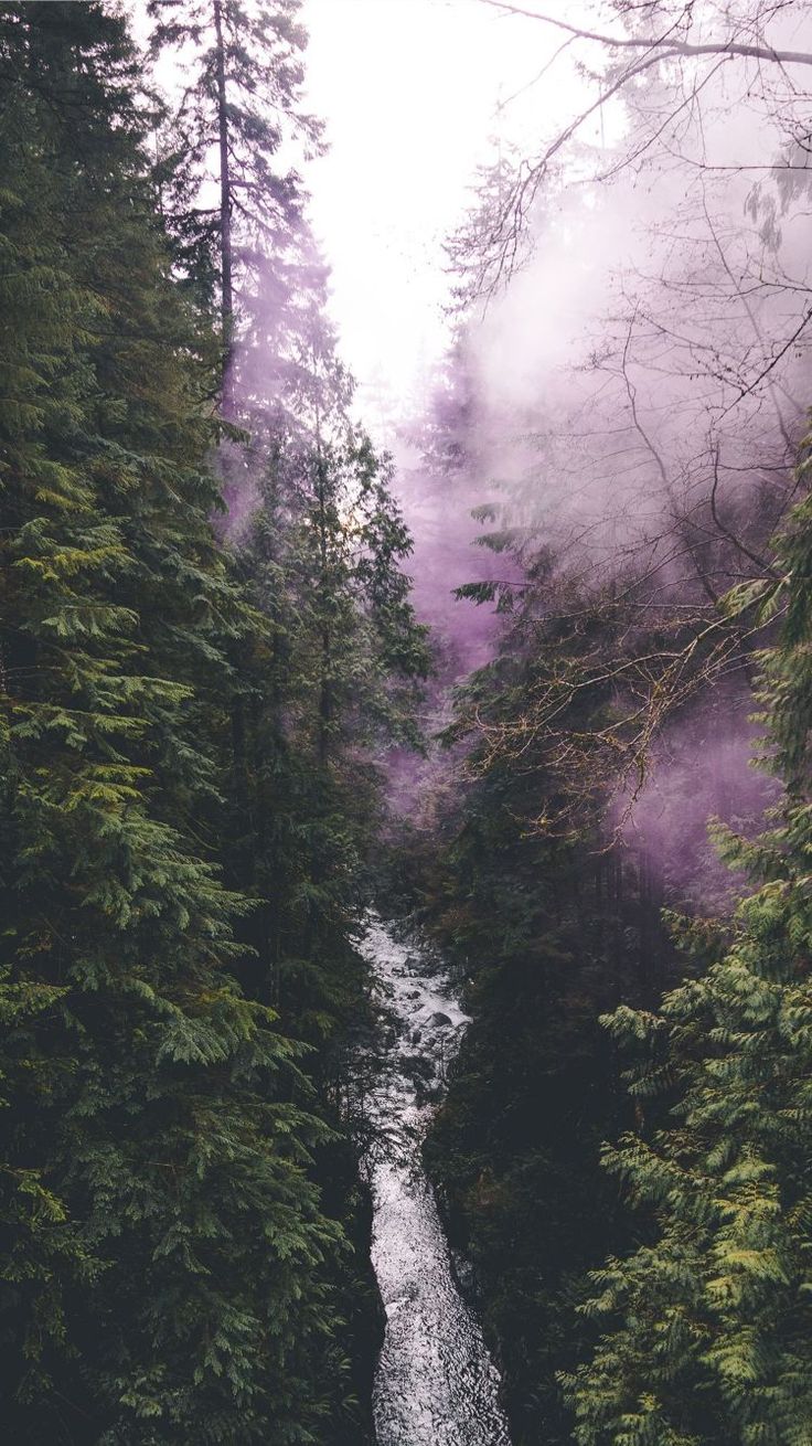 Download Best Amoled Wallpapers For Android For Your - Phone Wallpaper Canada Vancouver - 736x1310 Wallpaper Download Best Amoled Wallpapers For Android For Your - Phone Wallpaper Canada Vancouver - 736x1310 Wallpaper