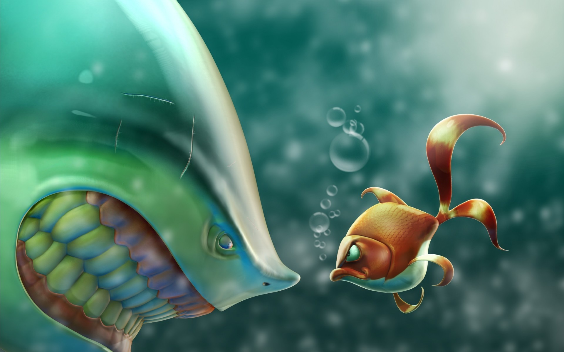 Wallpaper - Fighter Fish Vs Shark - HD Wallpaper 