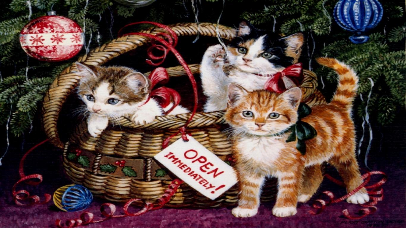 Christmas Images For Backgrounds Desktop Download - Cute 3 Cat Images Hd For Desktop Background - HD Wallpaper 