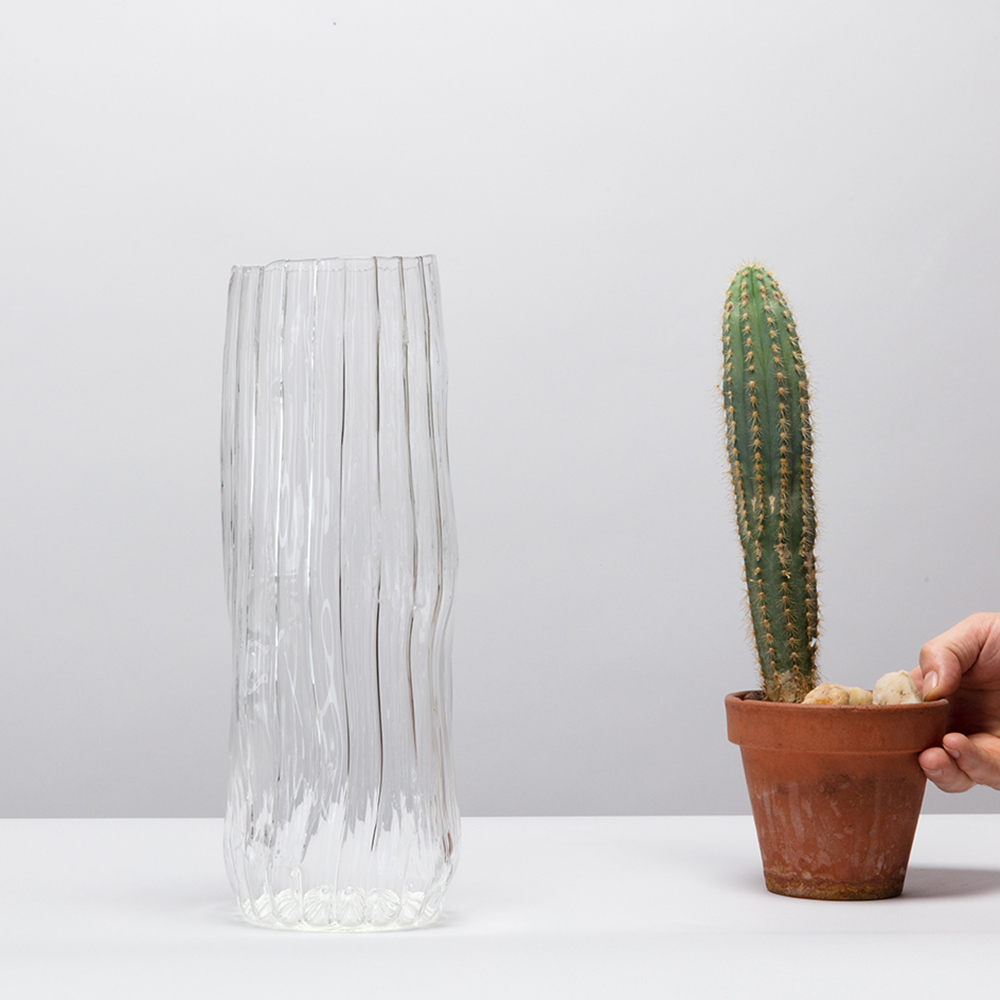 Hedgehog Cactus - HD Wallpaper 