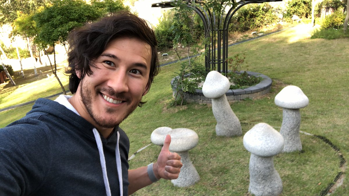 Edible Mushroom - HD Wallpaper 