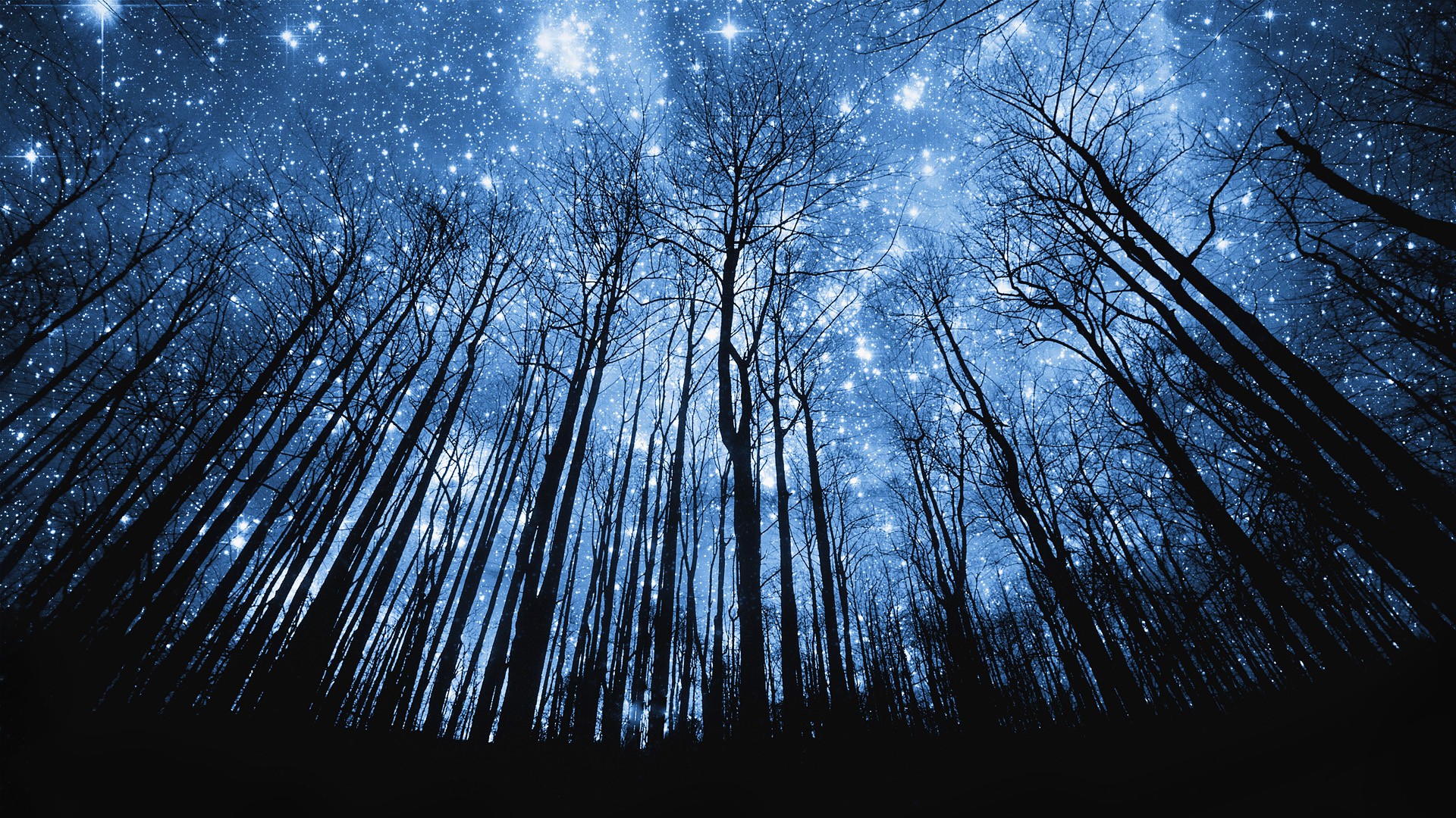 High Resolution Starry Night Night Sky - HD Wallpaper 
