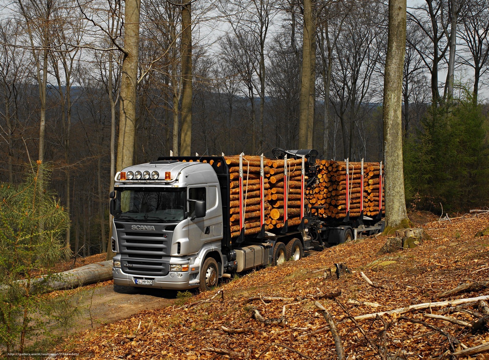 Download Wallpaper Truck, Forest, Nature, Timber Free - Scania Truck - HD Wallpaper 
