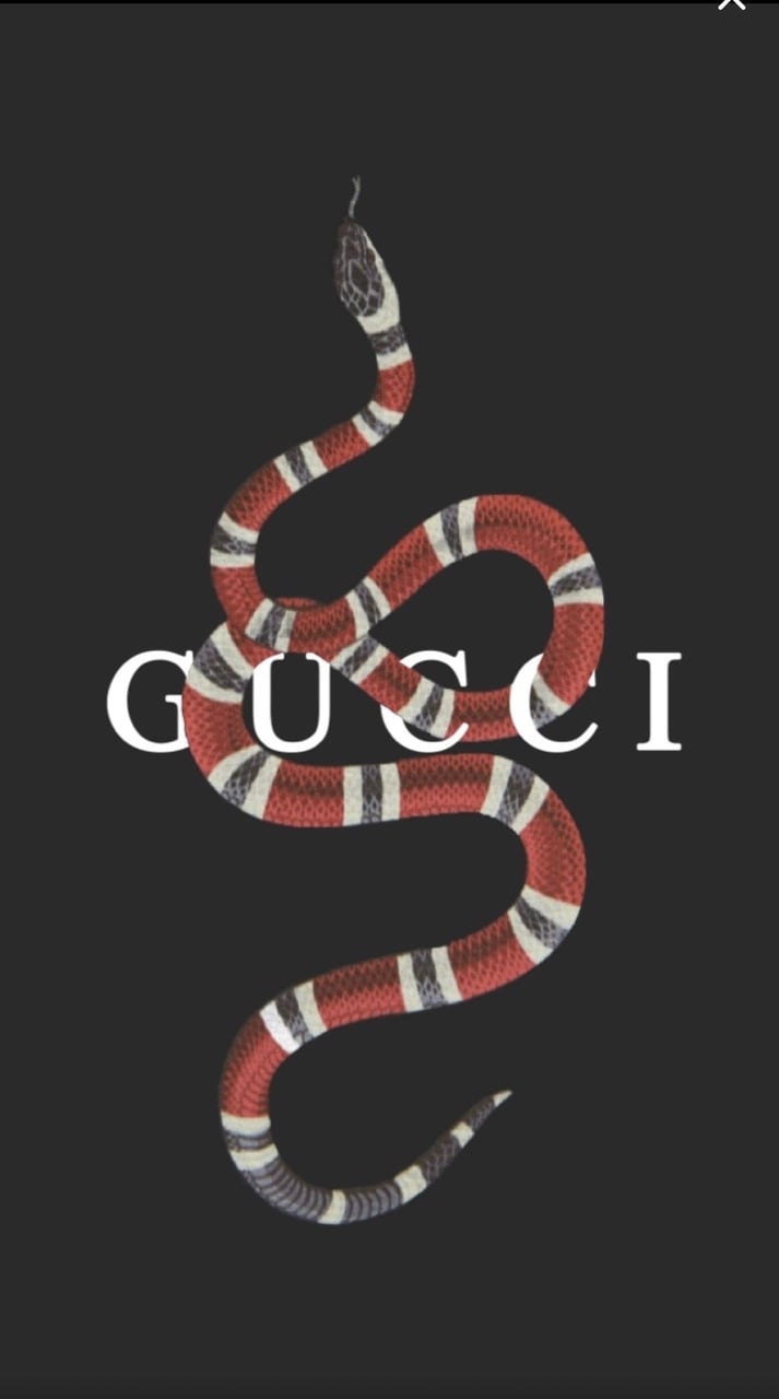 Gucci Fond D Ecran - HD Wallpaper 