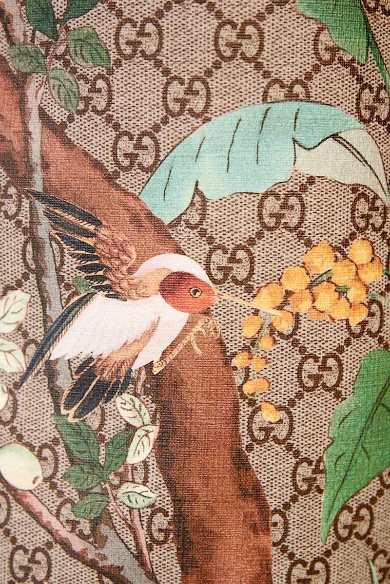 Gucci Bloom Wallpaper Iphone 800x1199 Wallpaper Teahub Io
