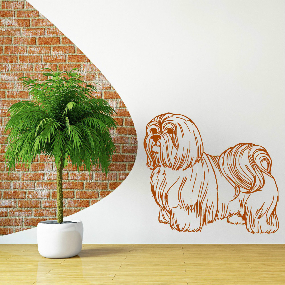 Vinilo Shih Tzu - HD Wallpaper 