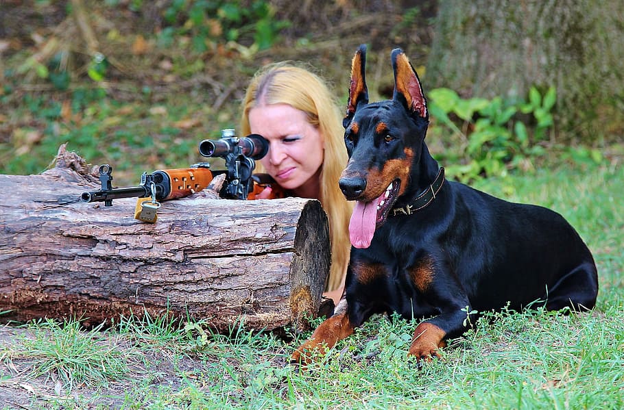 Woman Sighting Gun Beside Adult Doberman Pinscher, - Doberman Black Coat - HD Wallpaper 