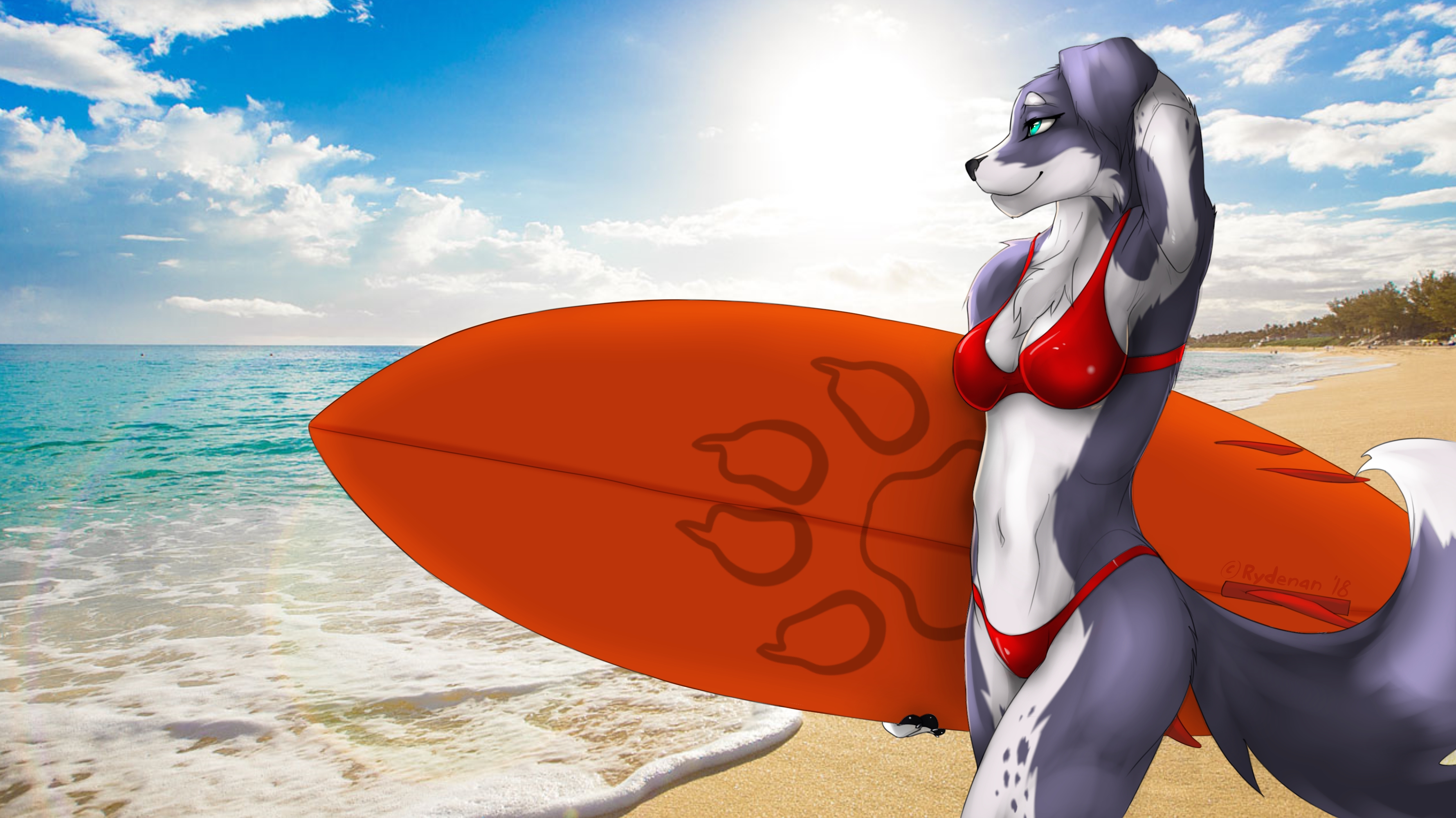 Boarder Collie - Atlantis Bahamas Beach - HD Wallpaper 